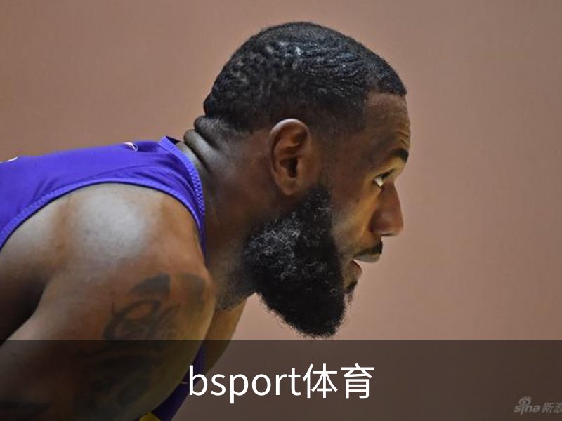 bsport体育概况
